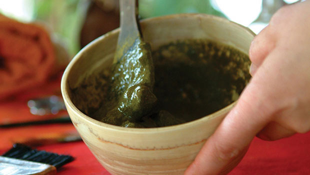 Coloration végétale