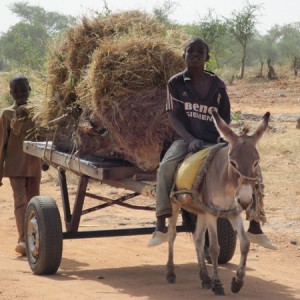 Eugène Perma : Courir pour le Mali
