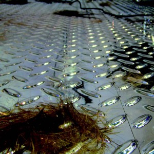 C&rsquo;est la panique au salon !