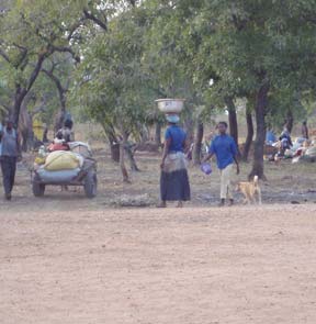 Hairgum, mission au Burkina Faso (le retour)