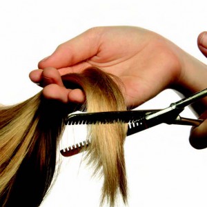 Une nouvelle HISTOIRE