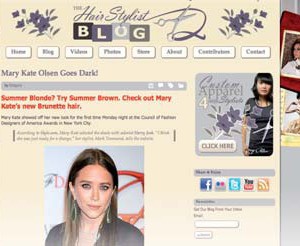 The Hair stylist blog