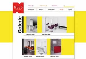 Le nouveau site de Ness