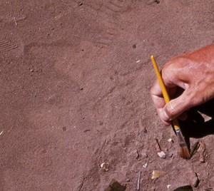 Une épingle à cheveux qui a 3400 ans