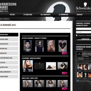 Nominés aux Hairdressing Awards 2012