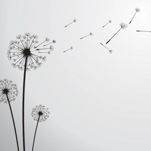 Restructuration du secteur de la coiffure en France