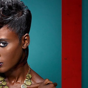 Black Beauty de Josia Samson et Myriam Nipau-Meri pour Coiffeur en France
