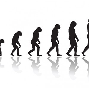 Salons de coiffure généraliste VS salons de coiffure spécialistes