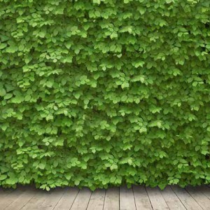 Pourquoi mettre en avant son engagement dans le développement durable en coiffure