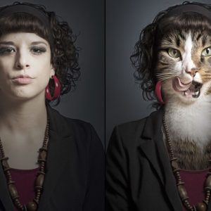 Chat décoiffe !