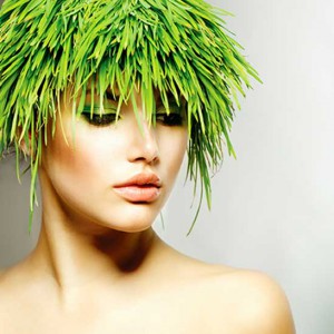 Biobela, la première franchise de coiffure naturelle et bio