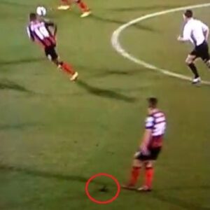 À VOIR : il perd sa perruque en plein match de football