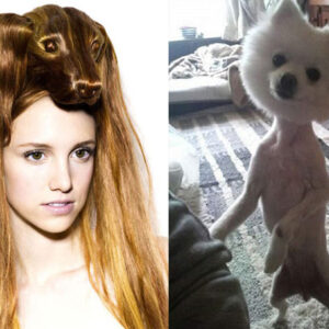 Des cheveux et des animaux