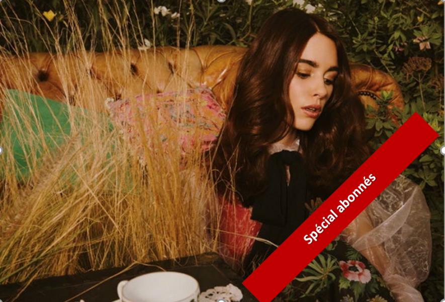 Coloration Vegetale Le Chatain Cacao Biblond Pour Les Coiffeurs