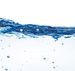 Le composant : aqua ou l’eau