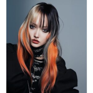 Le portfolio : nuances automnales